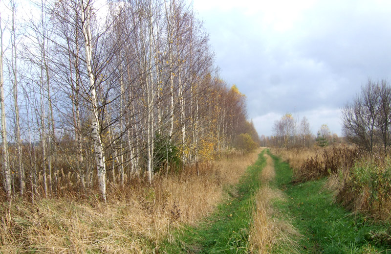 100x24_2008_sa_002
