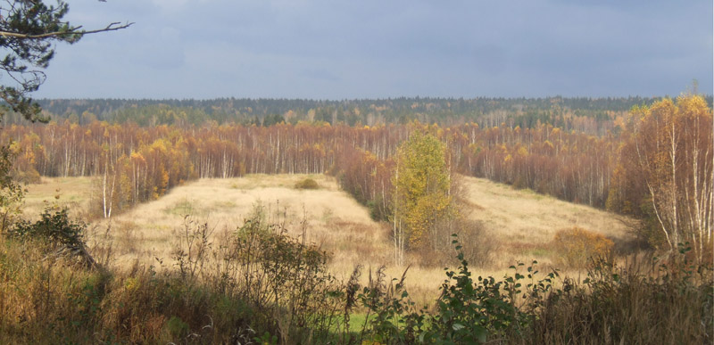 100x24_2008_sa_003