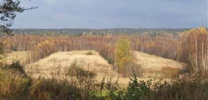 100x24_2008_sa_003