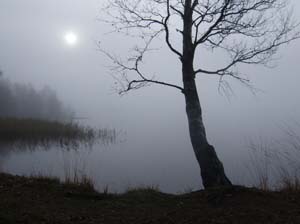 100x24_2008_sa_005