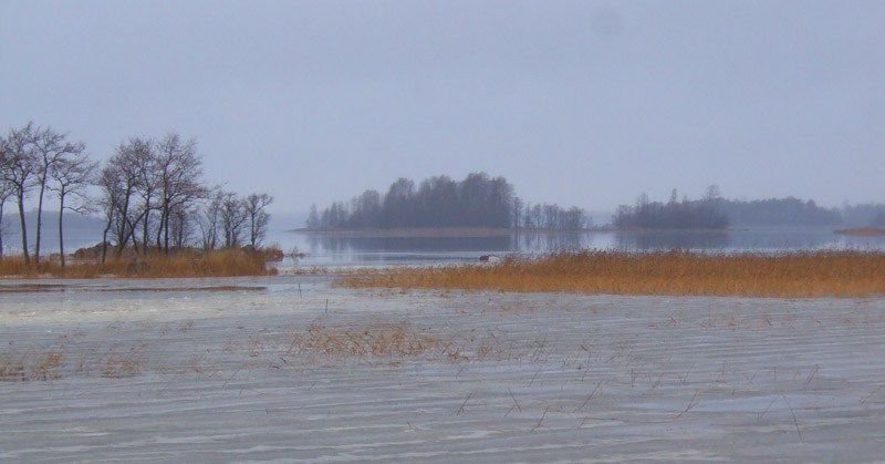100x24_2008_sa_010