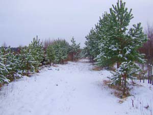 100x24_2008_sa_007