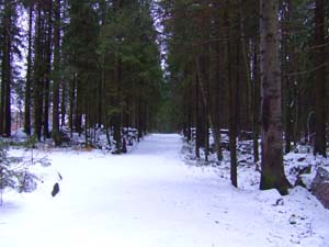 100x24_2008_sa_008