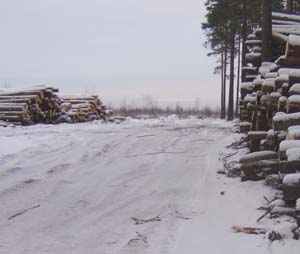 100x24_2008_sa_009