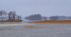 100x24_2008_sa_010