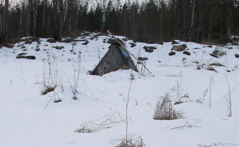 100x24_2008_koreshonkov_petr_11