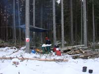 100x24_2008_koreshonkov_petr_13